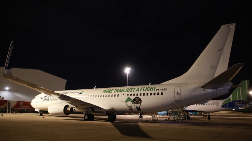 Bamboo Airways adds new aircraft to meet summer travel demand